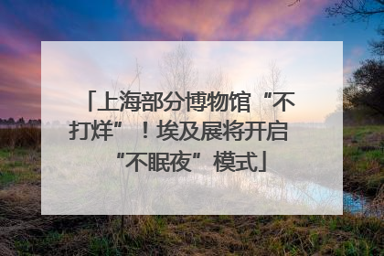 上海部分博物馆“不打烊”！埃及展将开启“不眠夜”模式