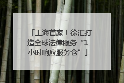 上海首家！徐汇打造全球法律服务“1小时响应服务仓”