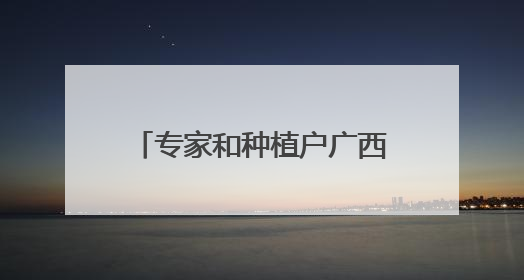 专家和种植户广西柳州探寻玉米产业提质增效新路径