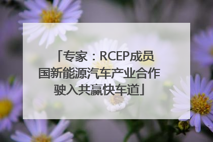 专家：RCEP成员国新能源汽车产业合作驶入共赢快车道