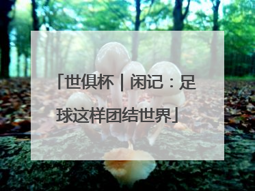 世俱杯｜闲记：足球这样团结世界