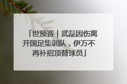 世预赛｜武磊因伤离开国足集训队，伊万不再补招顶替球员