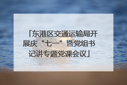 东港区交通运输局开展庆“七一”暨党组书记讲专题党课会议