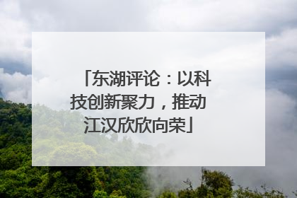 东湖评论：以科技创新聚力，推动江汉欣欣向荣