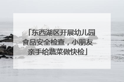 东西湖区开展幼儿园食品安全检查，小朋友亲手给蔬菜做快检