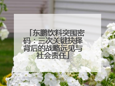 东鹏饮料突围密码：三次关键抉择背后的战略远见与社会责任