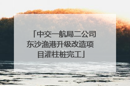 中交一航局二公司东沙渔港升级改造项目灌柱桩完工