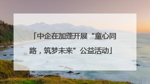 中企在加蓬开展“童心同路，筑梦未来”公益活动