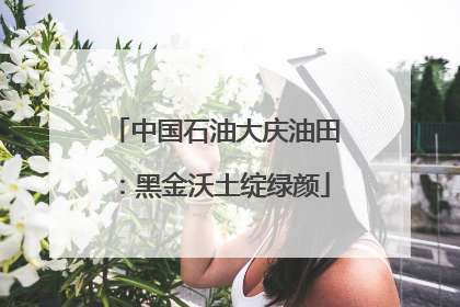 中国石油大庆油田：黑金沃土绽绿颜