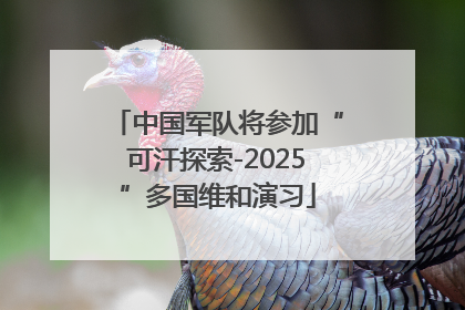 中国军队将参加“可汗探索-2025”多国维和演习