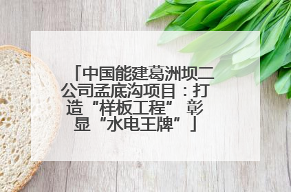 中国能建葛洲坝二公司孟底沟项目：打造“样板工程” 彰显“水电王牌”