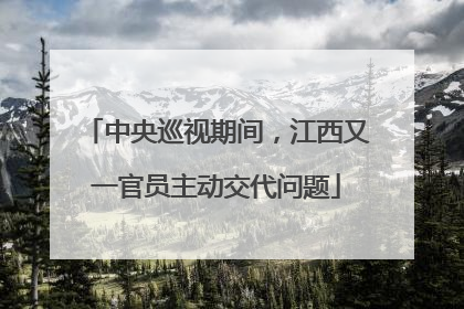 中央巡视期间，江西又一官员主动交代问题