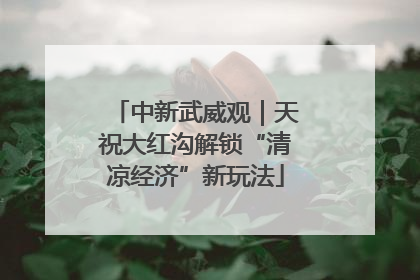 中新武威观｜天祝大红沟解锁“清凉经济”新玩法