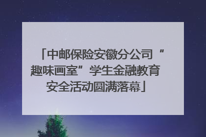 中邮保险安徽分公司“趣味画室”学生金融教育安全活动圆满落幕