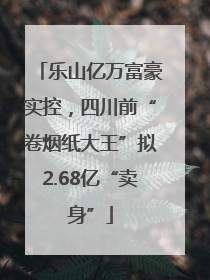 乐山亿万富豪实控，四川前“卷烟纸大王”拟2.68亿“卖身”