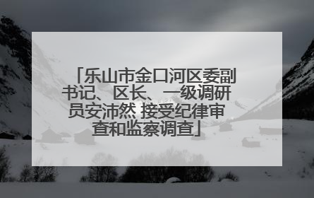 乐山市金口河区委副书记、区长、一级调研员安沛然 接受纪律审查和监察调查