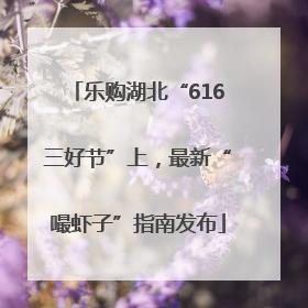 乐购湖北“616三好节”上，最新“嘬虾子”指南发布