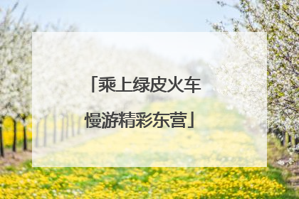 乘上绿皮火车 慢游精彩东营