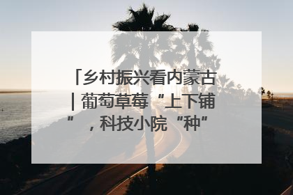 乡村振兴看内蒙古｜葡萄草莓“上下铺”，科技小院“种”出三倍效益