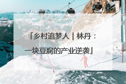 乡村追梦人｜林丹：一块豆腐的产业逆袭