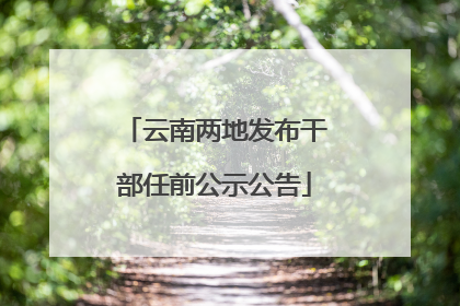 云南两地发布干部任前公示公告