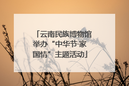 云南民族博物馆举办“中华节·家国情”主题活动