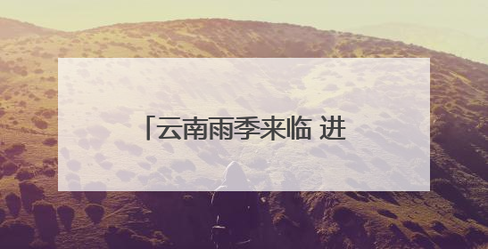 云南雨季来临 进入一年一度吃菌季