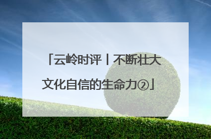 云岭时评丨不断壮大文化自信的生命力②