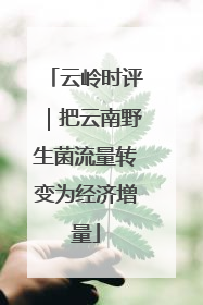 云岭时评｜把云南野生菌流量转变为经济增量