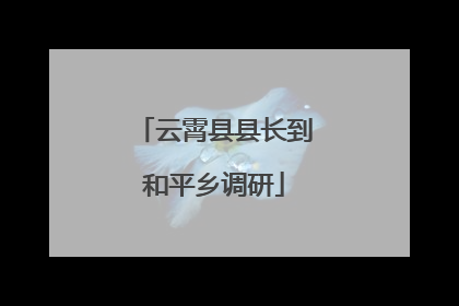 云霄县县长到和平乡调研
