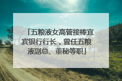 五粮液女高管接棒宜宾银行行长，曾任五粮液副总、董秘等职