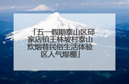 五一假期泰山区邱家店镇王林坡村泰山炊烟巷民俗生活体验区人气爆棚