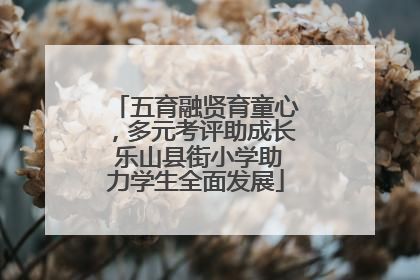 五育融贤育童心，多元考评助成长 乐山县街小学助力学生全面发展