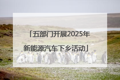 五部门开展2025年新能源汽车下乡活动
