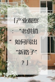 产业观察：“老供销”如何闯出“新路子”？