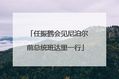 任振鹤会见尼泊尔前总统班达里一行