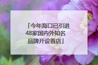 今年海口已引进48家国内外知名品牌开设首店