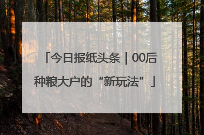 今日报纸头条｜00后种粮大户的“新玩法”