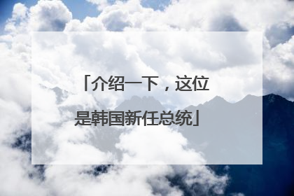 介绍一下，这位是韩国新任总统