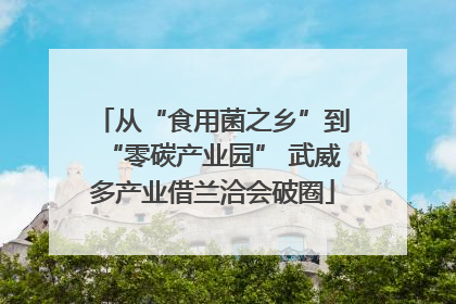 从“食用菌之乡”到“零碳产业园” 武威多产业借兰洽会破圈