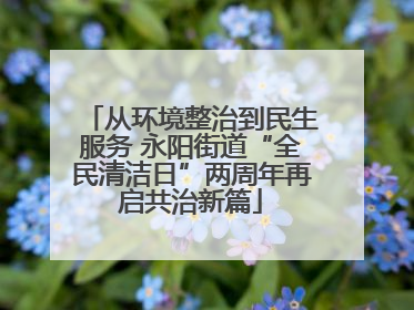 从环境整治到民生服务 永阳街道“全民清洁日”两周年再启共治新篇