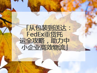 从包装到送达：FedEx重货托运全攻略，助力中小企业高效物流