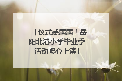 仪式感满满！岳阳北港小学毕业季活动暖心上演