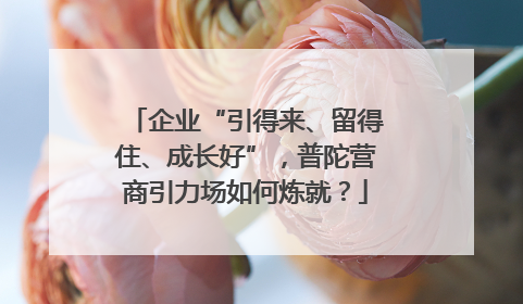 企业“引得来、留得住、成长好”，普陀营商引力场如何炼就？