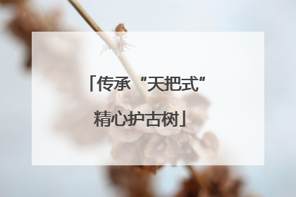 传承“天把式” 精心护古树