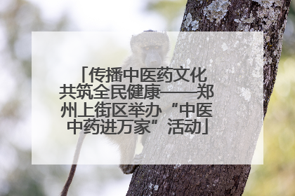 传播中医药文化 共筑全民健康——郑州上街区举办“中医中药进万家”活动
