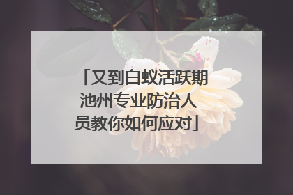 又到白蚁活跃期 池州专业防治人员教你如何应对