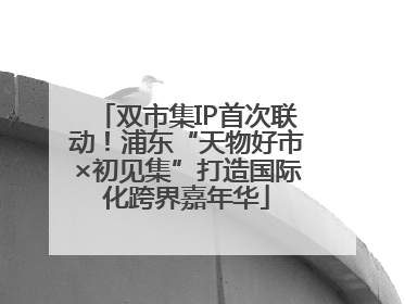 双市集IP首次联动！浦东“天物好市×初见集”打造国际化跨界嘉年华