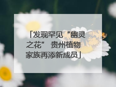 发现罕见“幽灵之花” 贵州植物家族再添新成员