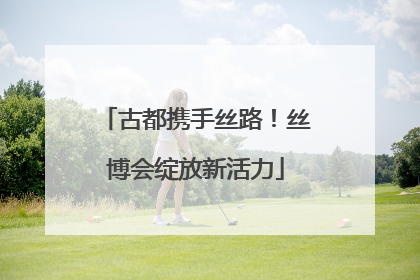 古都携手丝路！丝博会绽放新活力